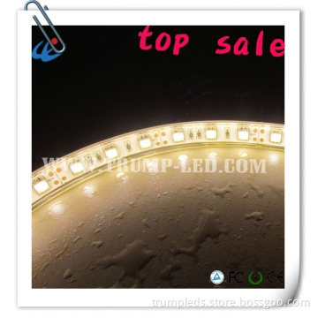 Waterproof Flex Ribbon 5050 LED Strip Lamp